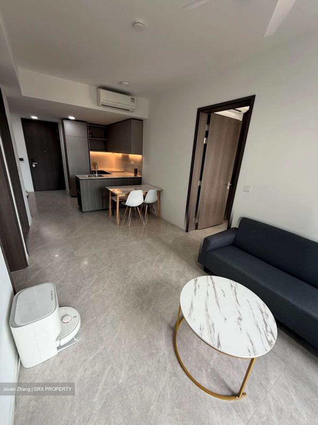 Piccadilly Grand (D8), Apartment #519982351